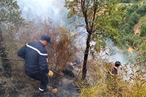 Algeria forest fires: At least 38 dead, emergency officials say .